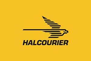 logo franquicia halcourier