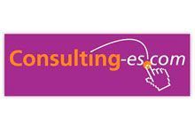 franquicia Consulting-es.com