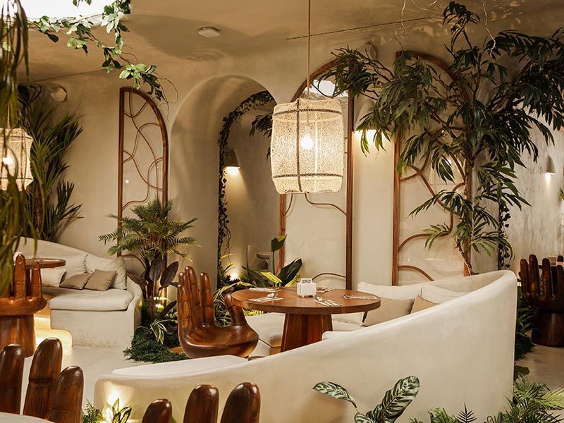franquicia begin salon