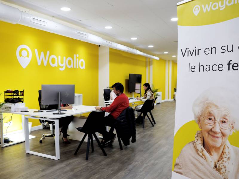 wayalia franquicia
