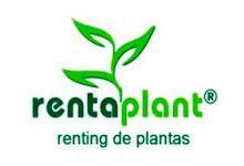 franquicia Rentaplant